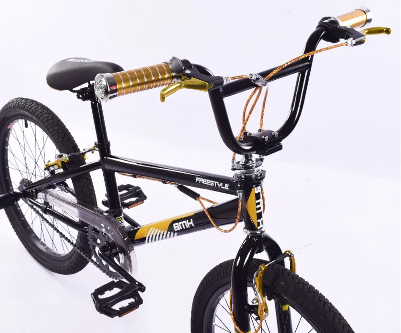 BMX freestyle bike with pegs and gyro 360 brakes