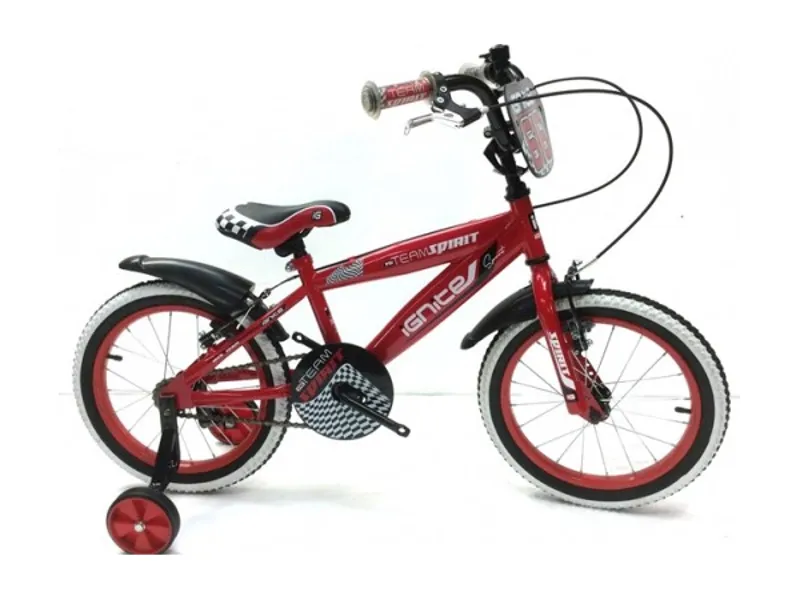 Ignite Team Spirit Boys Bike-1