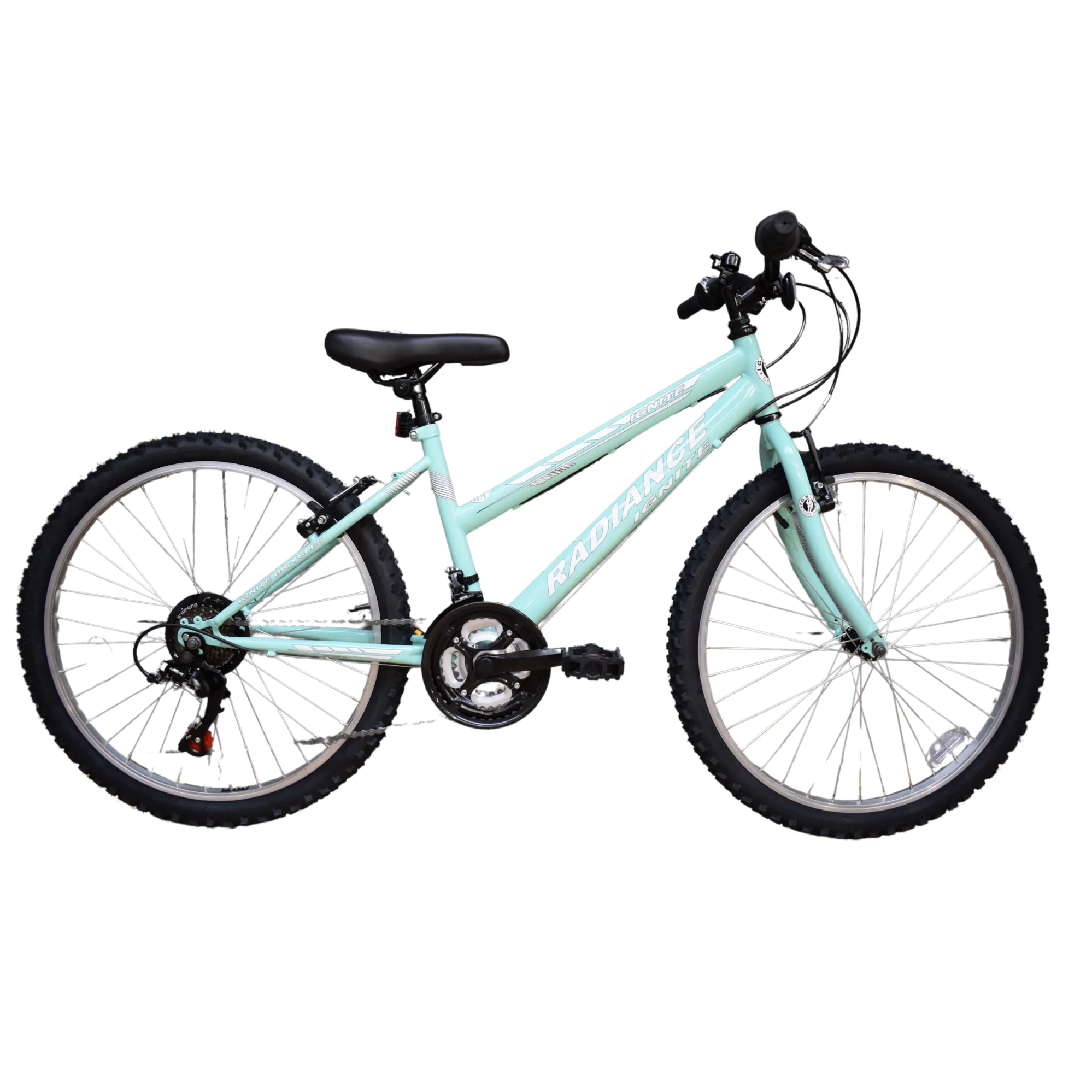 17 inch girls bike sale