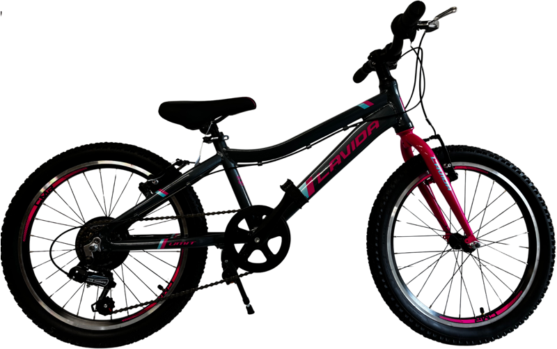 LAVIDA V-Brake girls bike 11 Frame 20 Wheel  Ant/Pink