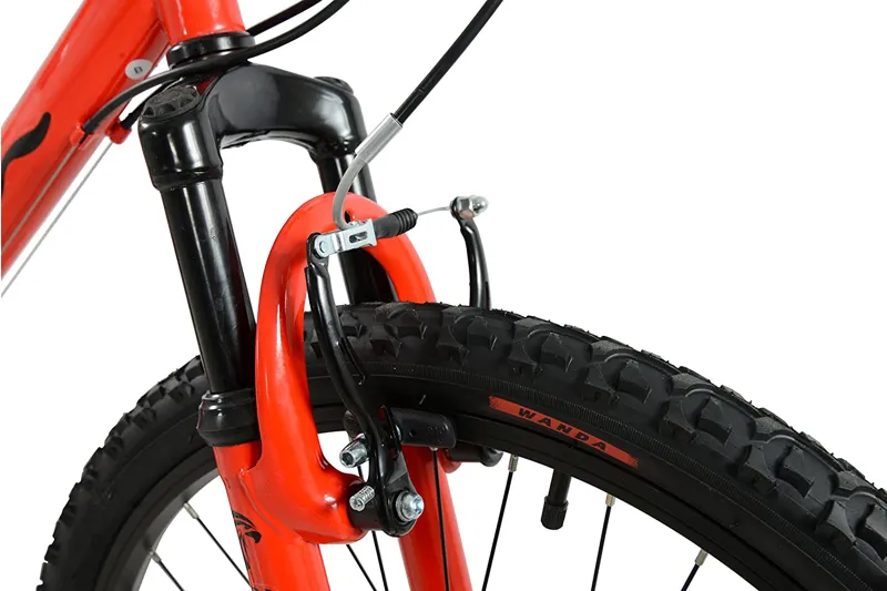 Falcon Raptor 24 Boys-1