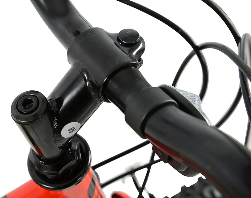 Falcon Raptor 24 Boys-3